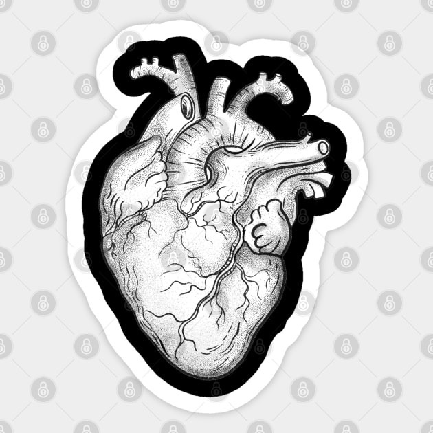 Anatomical Heart 12 Sticker by Collagedream